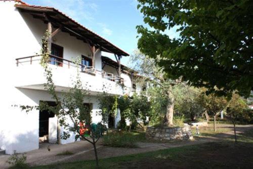 Olive Studios And Apartments Skala Potamia  Luaran gambar